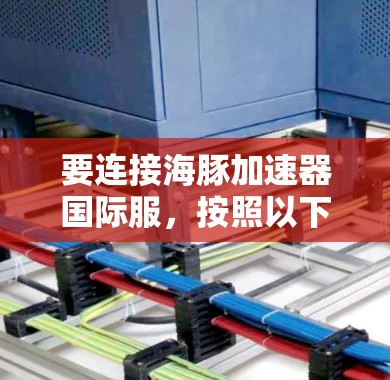 要连接海豚加速器国际服，按照以下步骤操作