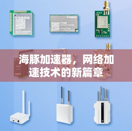 海豚加速器，网络加速技术的新篇章
