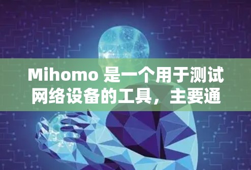 Mihomo 是一个用于测试网络设备的工具,主要通过双频网络摄像头测量设备位置,计算设备之间的距离和角度,从而检测设备连接问题和性能。以下是详细的步骤和解释