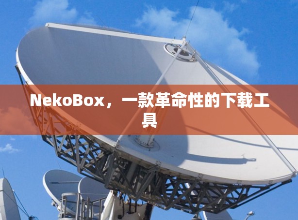 NekoBox,一款革命性的下载工具