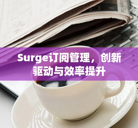 Surge订阅管理，创新驱动与效率提升
