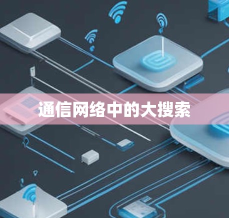 通信网络中的大搜索