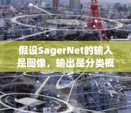 假设SagerNet的输入是图像，输出是分类概率