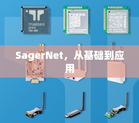 SagerNet,从基础到应用