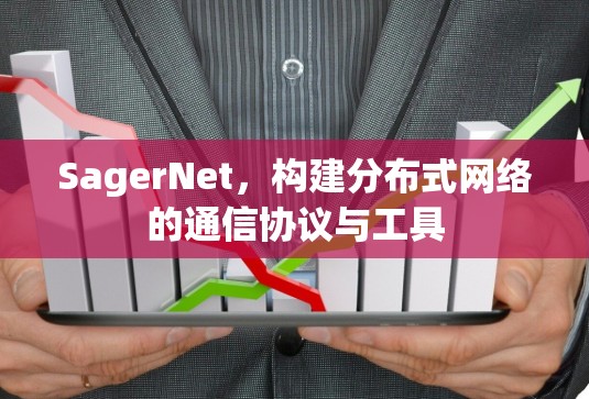 SagerNet，构建分布式网络的通信协议与工具