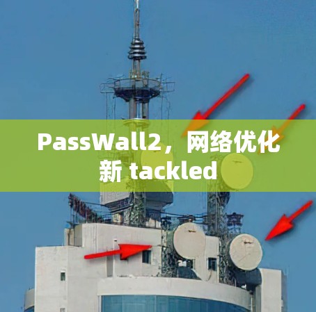PassWall2，网络优化新 tackled