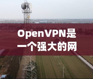 OpenVPN是一个强大的网络加密工具，主要用于在多个设备之间进行加密通信。以下是详细的使用步骤和信息