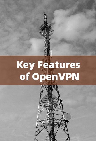 Key Features of OpenVPN: