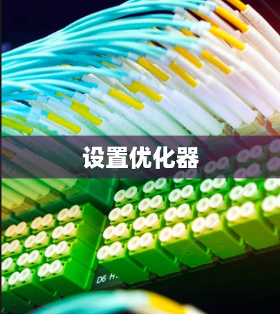 设置优化器