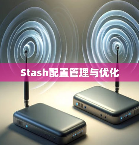 Stash配置管理与优化