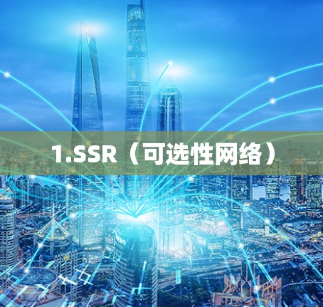 1.SSR(可选性网络)