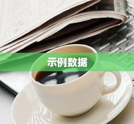 示例数据