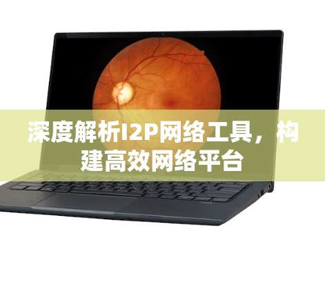 深度解析I2P网络工具,构建高效网络平台