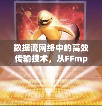 数据流网络中的高效传输技术，从FFmpeg到未来