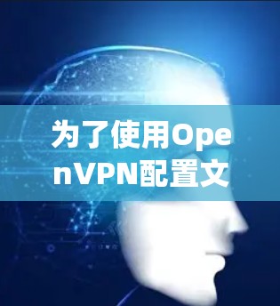 为了使用OpenVPN配置文件，您可以按照以下步骤进行