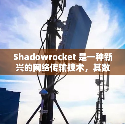 Shadowrocket 是一种新兴的网络传输技术，其数据流量测试是一个重要的步骤，旨在评估其性能和效率。以下是测试 Shadowrocket 网络数据流量的主要步骤和考虑因素
