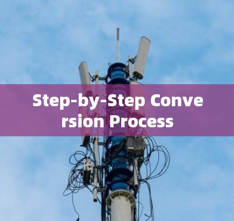 Step-by-Step Conversion Process