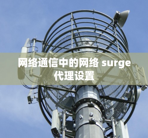 网络通信中的网络 surge代理设置