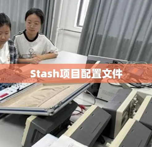 Stash项目配置文件