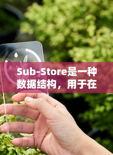 Sub-Store是一种数据结构，用于在数据库中管理数据的同时支持子节点，允许更灵活的数据组织和查询。以下是关于Sub-Store转换的详细指南