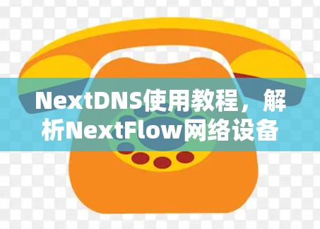 NextDNS使用教程,解析NextFlow网络设备的网络流量分析与管理