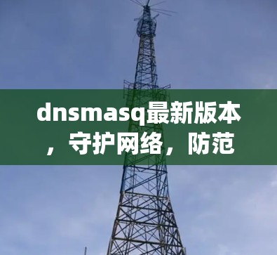 dnsmasq最新版本，守护网络，防范恶意攻击的高科技解决方案
