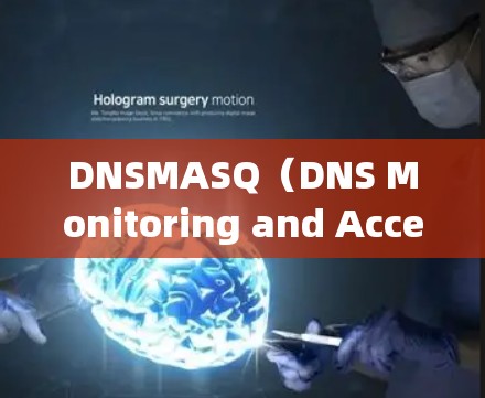 DNSMASQ（DNS Monitoring and Access Security Queries）允许用户管理网络访问控制规则，如访问时间、范围、权限等。以下是详细的DNSMASQ规则设置步骤