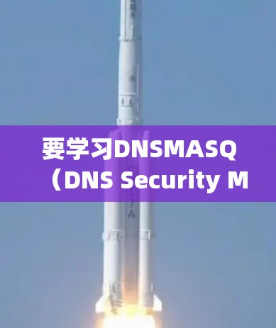要学习DNSMASQ(DNS Security Managed Query)的教程,可以按照以下步骤进行