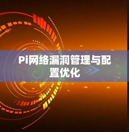 Pi网络漏洞管理与配置优化
