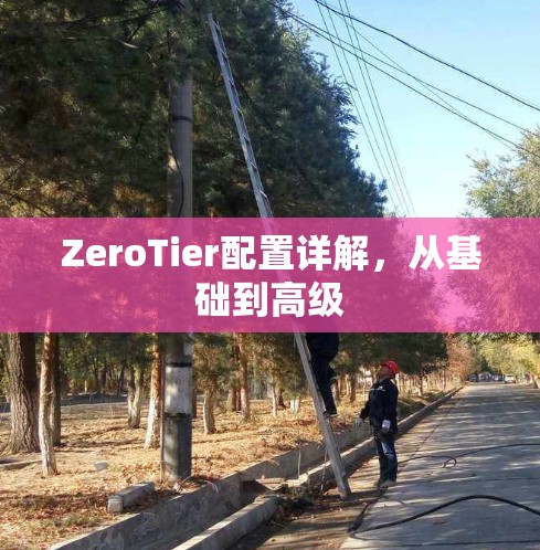 ZeroTier配置详解，从基础到高级