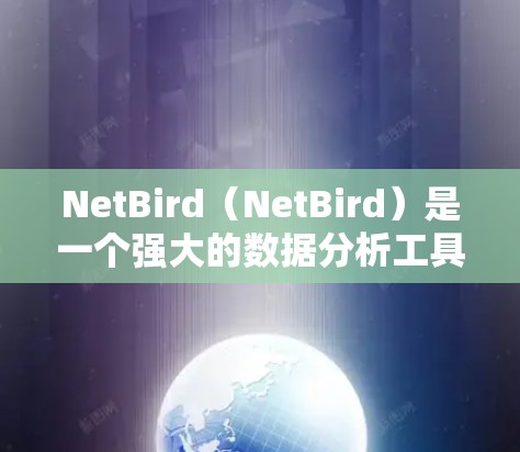 NetBird(NetBird)是一个强大的数据分析工具,主要用于数据采集、处理和分析。以下是一些基本的使用方法和步骤,帮助你更好地理解如何使用NetBird