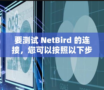 要测试 NetBird 的连接，您可以按照以下步骤进行