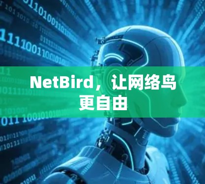 NetBird，让网络鸟更自由
