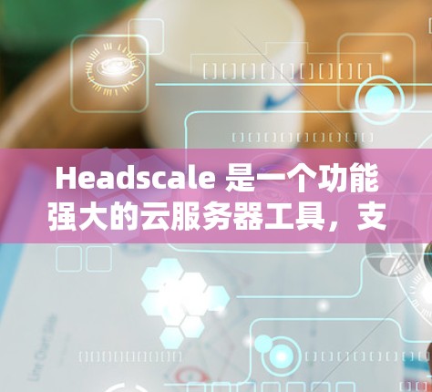 Headscale 是一个功能强大的云服务器工具，支持多种云平台，适合开发和部署Web应用。以下是详细的Headscale服务器配置步骤，帮助您顺利进行