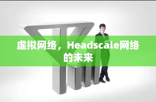 虚拟网络,Headscale网络的未来