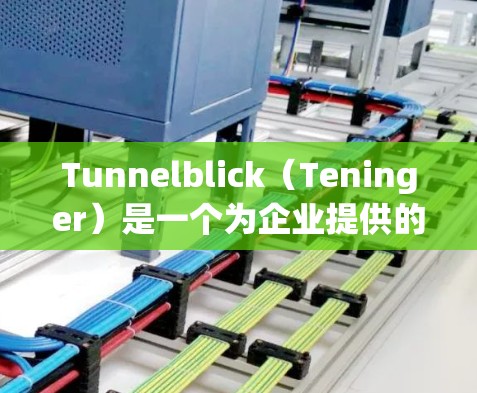 Tunnelblick（Teninger）是一个为企业提供的数据监控工具，主要用于监控和分析设备、传感器、服务器等设备的性能和状态。以下是Tunnelblick的教程，分为基础操作和高级功能两部分