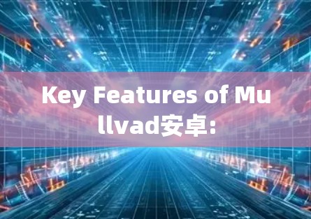 Key Features of Mullvad安卓: