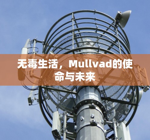 无毒生活，Mullvad的使命与未来