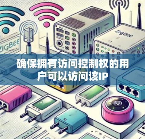 确保拥有访问控制权的用户可以访问该IP