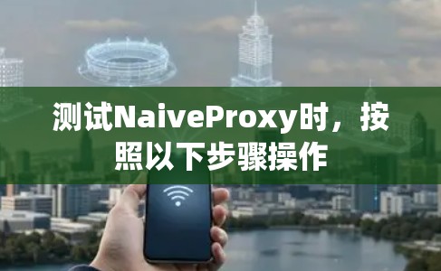 测试NaiveProxy时,按照以下步骤操作