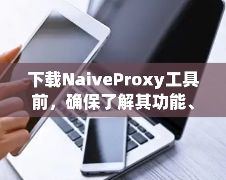 下载NaiveProxy工具前,确保了解其功能、注册权限、安全性和下载来源。以下是一步步的指南