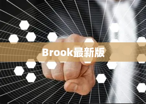 Brook最新版