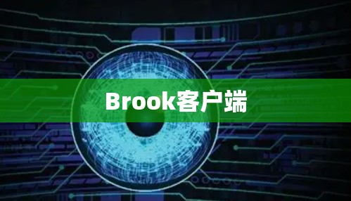 Brook客户端