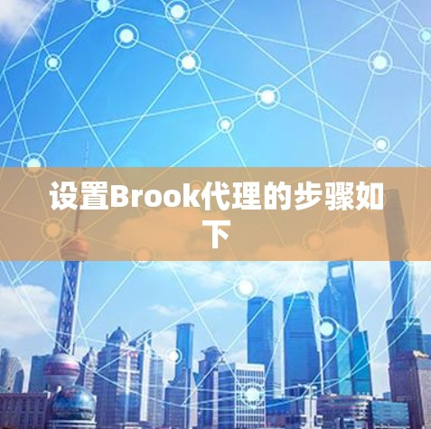 设置Brook代理的步骤如下