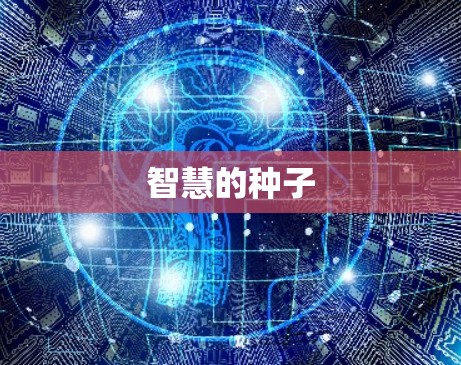 智慧的种子