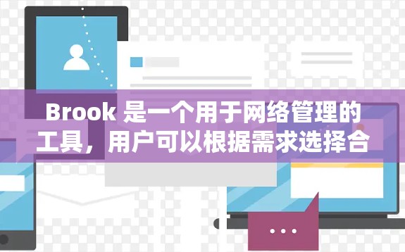 Brook 是一个用于网络管理的工具,用户可以根据需求选择合适的网络管理工具。以下是一些关于Brook网络工具的基本信息和常见问题解决方案