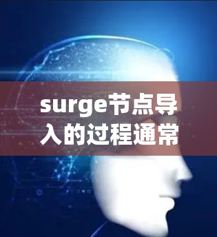 surge节点导入的过程通常包括以下几个步骤