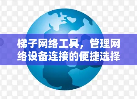 梯子网络工具，管理网络设备连接的便捷选择