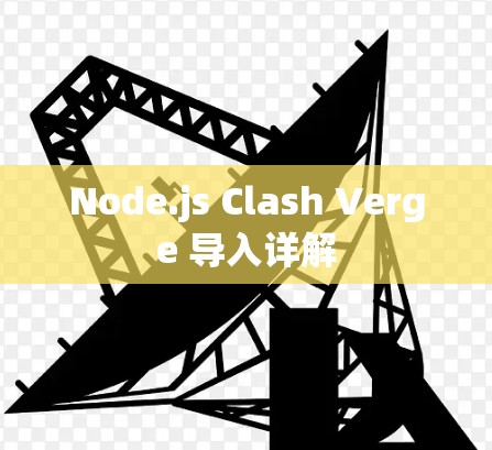 Node.js Clash Verge 导入详解