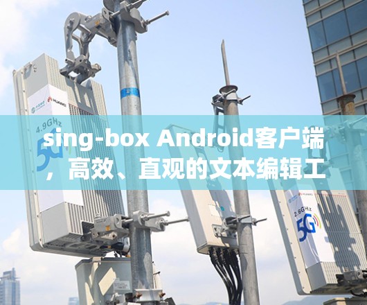 sing-box Android客户端,高效、直观的文本编辑工具